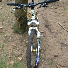 Rocky Mountain Vertex SE