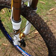 Rocky Mountain Vertex SE