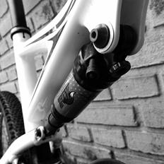 Specialized Epic Carbon Expert