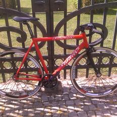 Wilier Pista