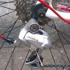 Specialized Dolce Sport Triple 2012