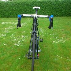 Koga Miyata kimera ud team 2013