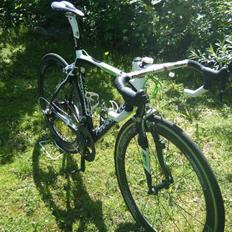 Pinarello Dogma 2