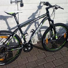 Merida TFS 300