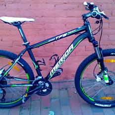 Merida TFS 300