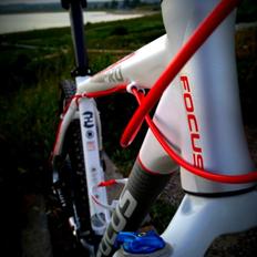 Focus Black Forest Limited 1.0 SOLGT