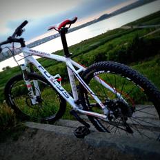 Focus Black Forest Limited 1.0 SOLGT