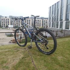 Giant Anthem X 5.0