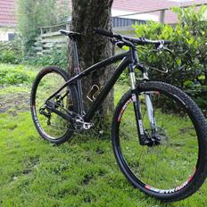 Kingdom Bike Project carbon 29"
