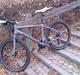 Focus MTB
