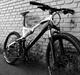 Specialized Epic Carbon Expert
