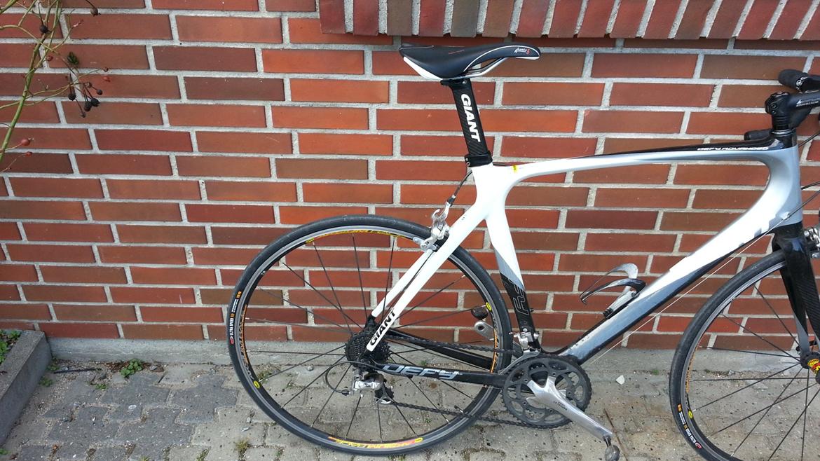 Giant Giant Defy Advanced 2 billede 4