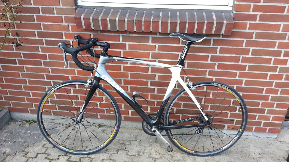 Giant Giant Defy Advanced 2 billede 15