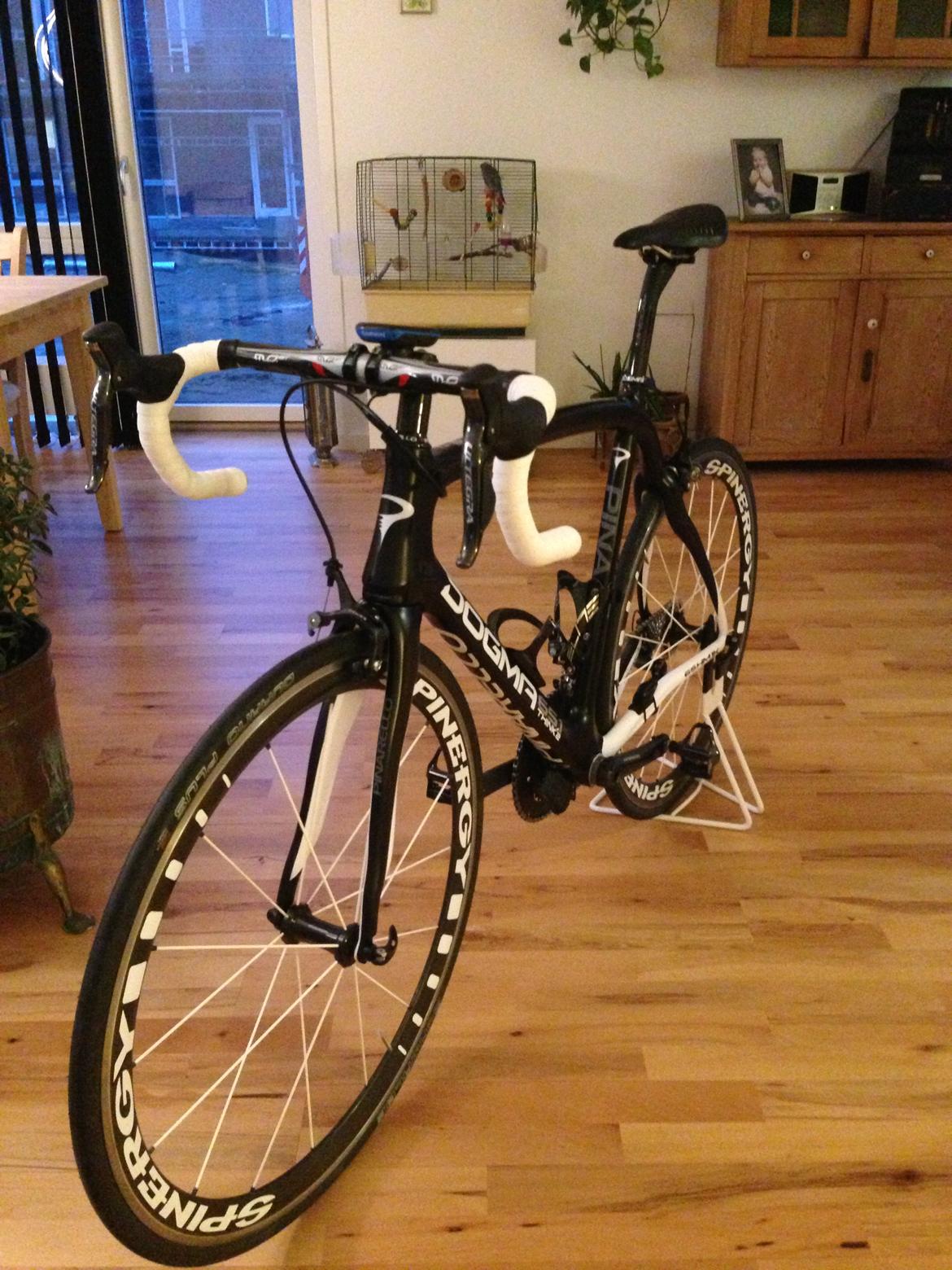 Pinarello Dogma think2 billede 13