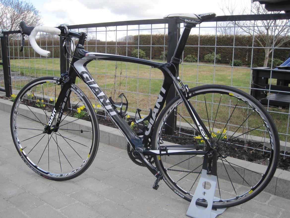 giant tcr composite 2