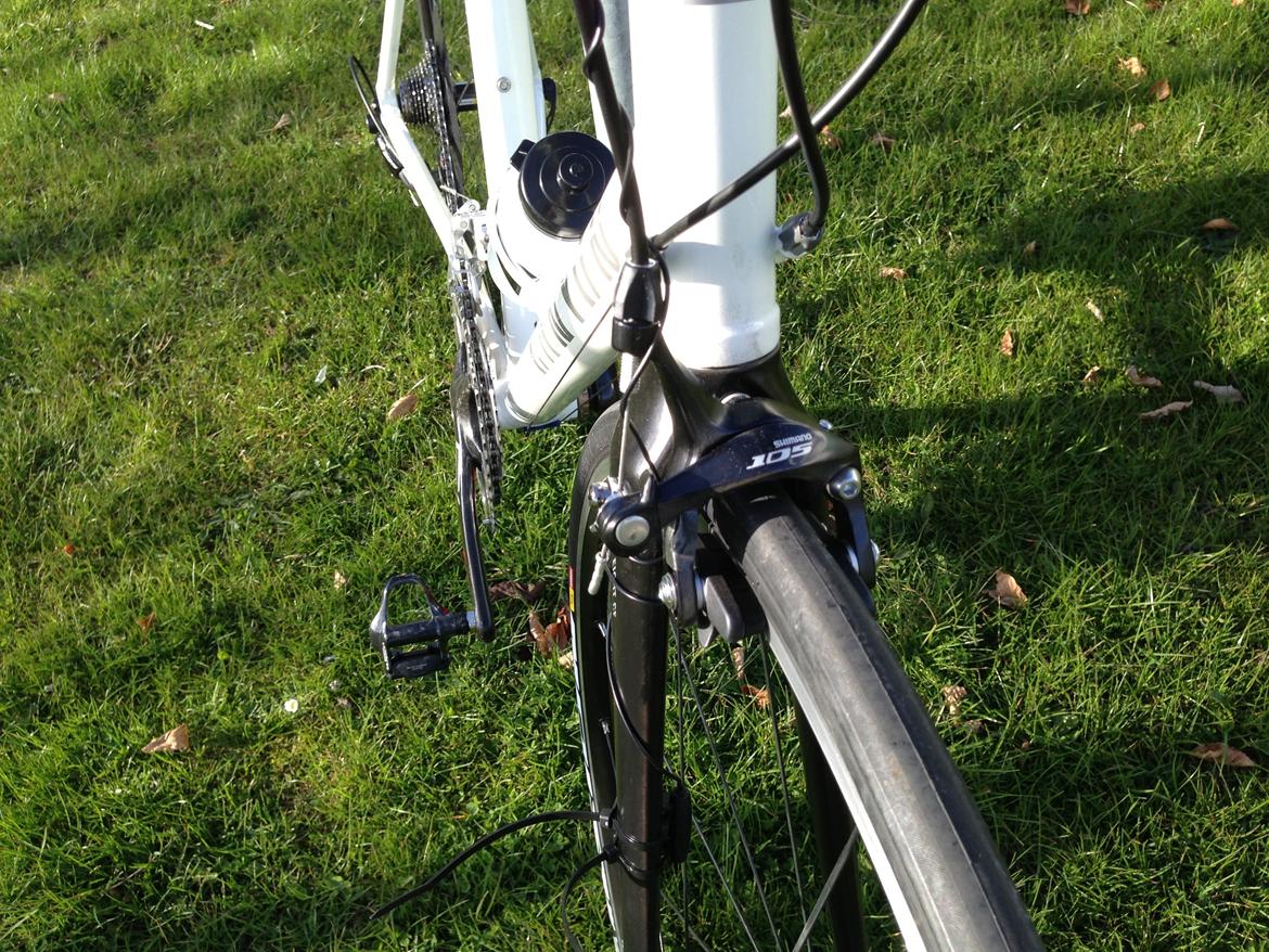Canyon Roadlite AL 6.0 billede 8