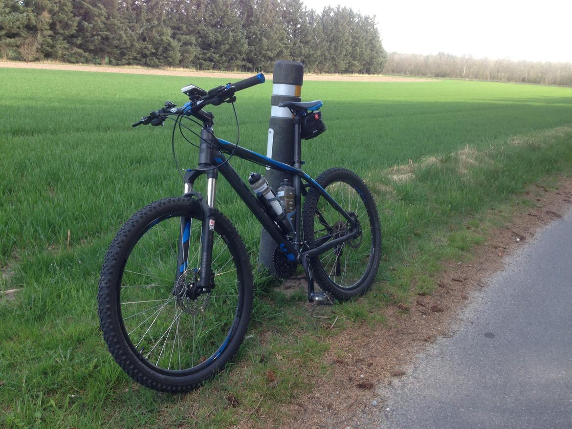 Cube Acid, 2013 billede 3