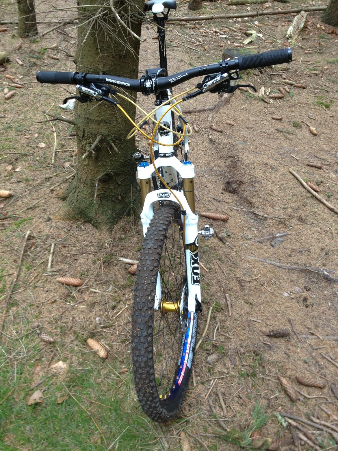 Rocky Mountain Vertex SE billede 2