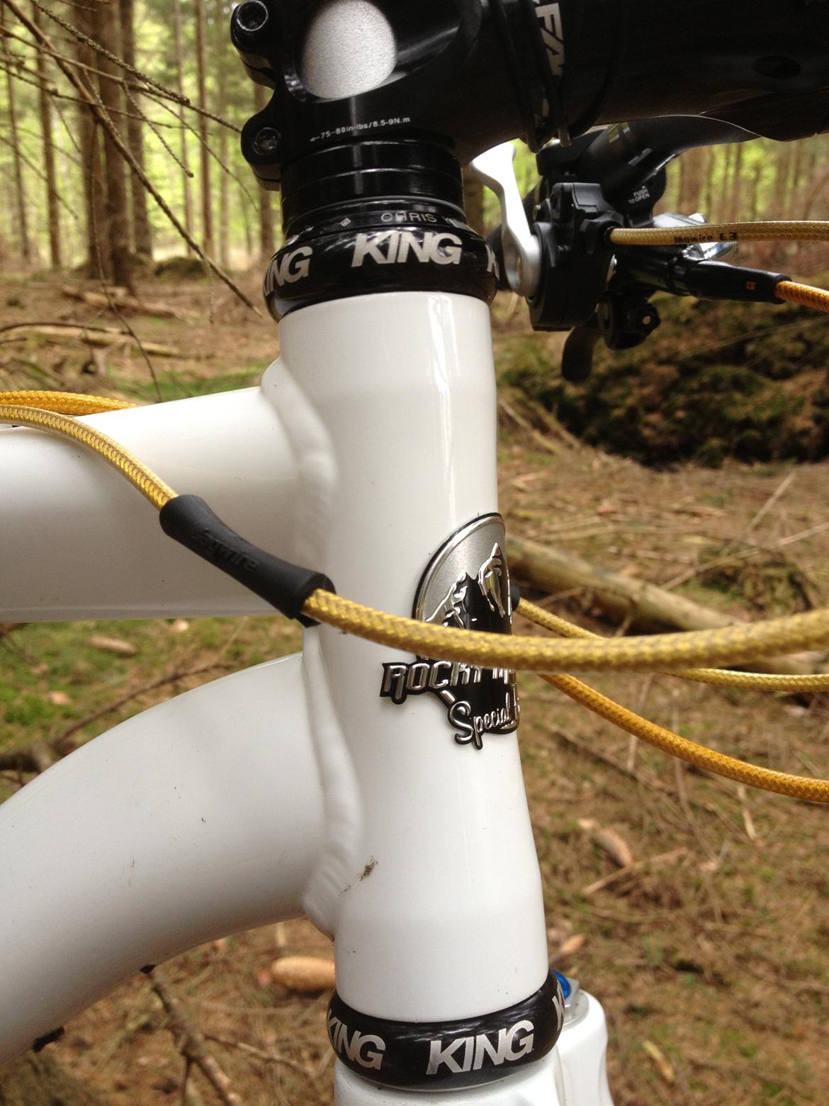 Rocky Mountain Vertex SE billede 9