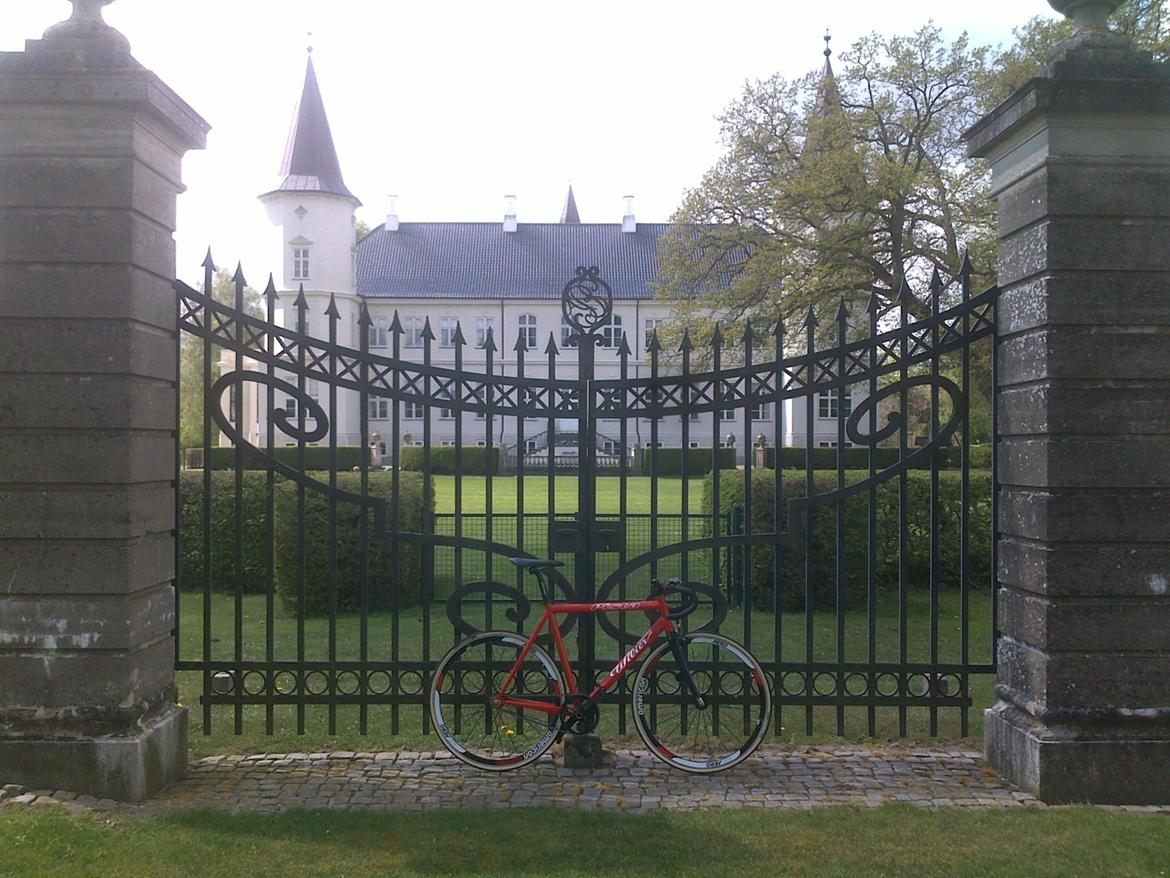 Wilier Pista billede 1