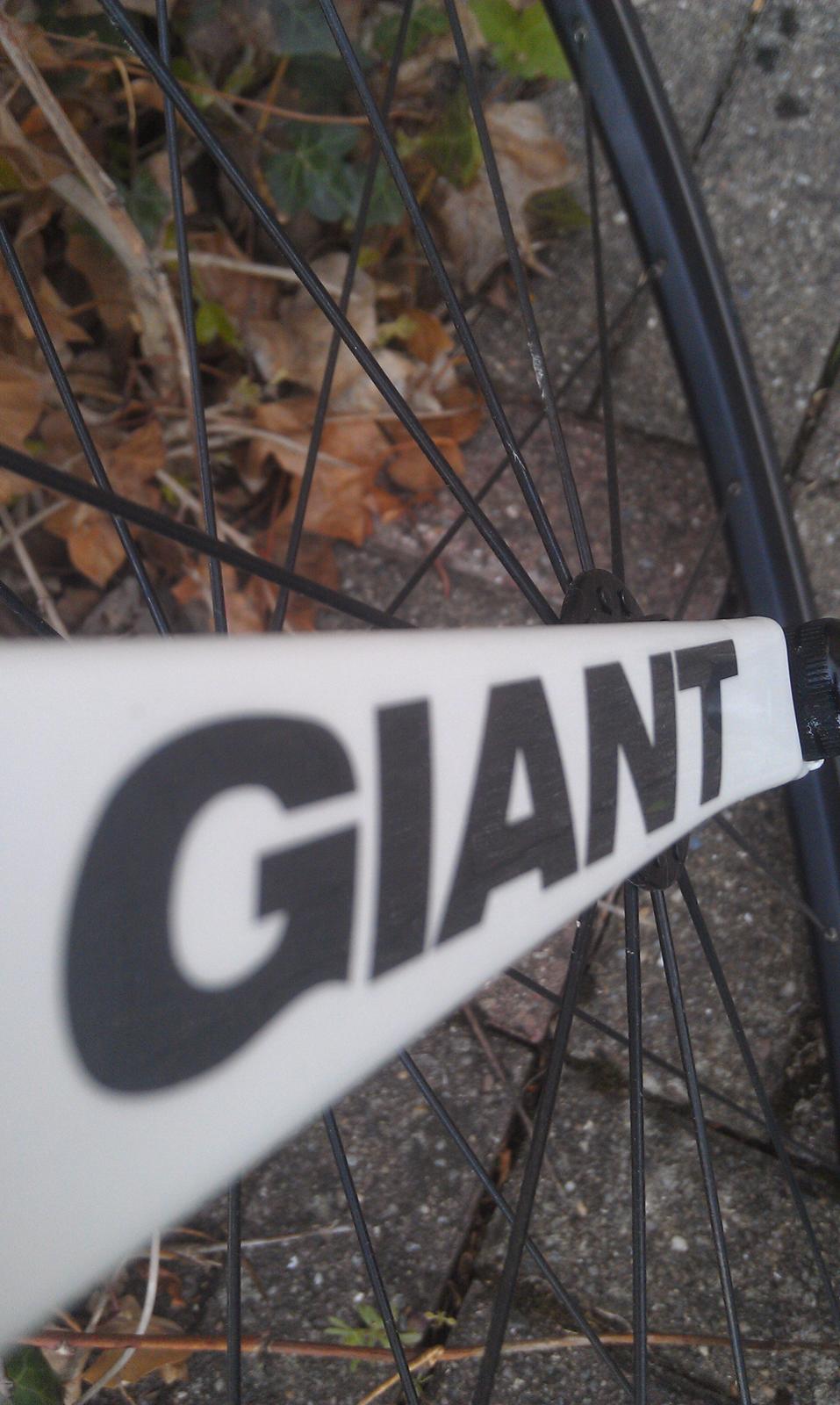 Giant TCR 0 2012 billede 11