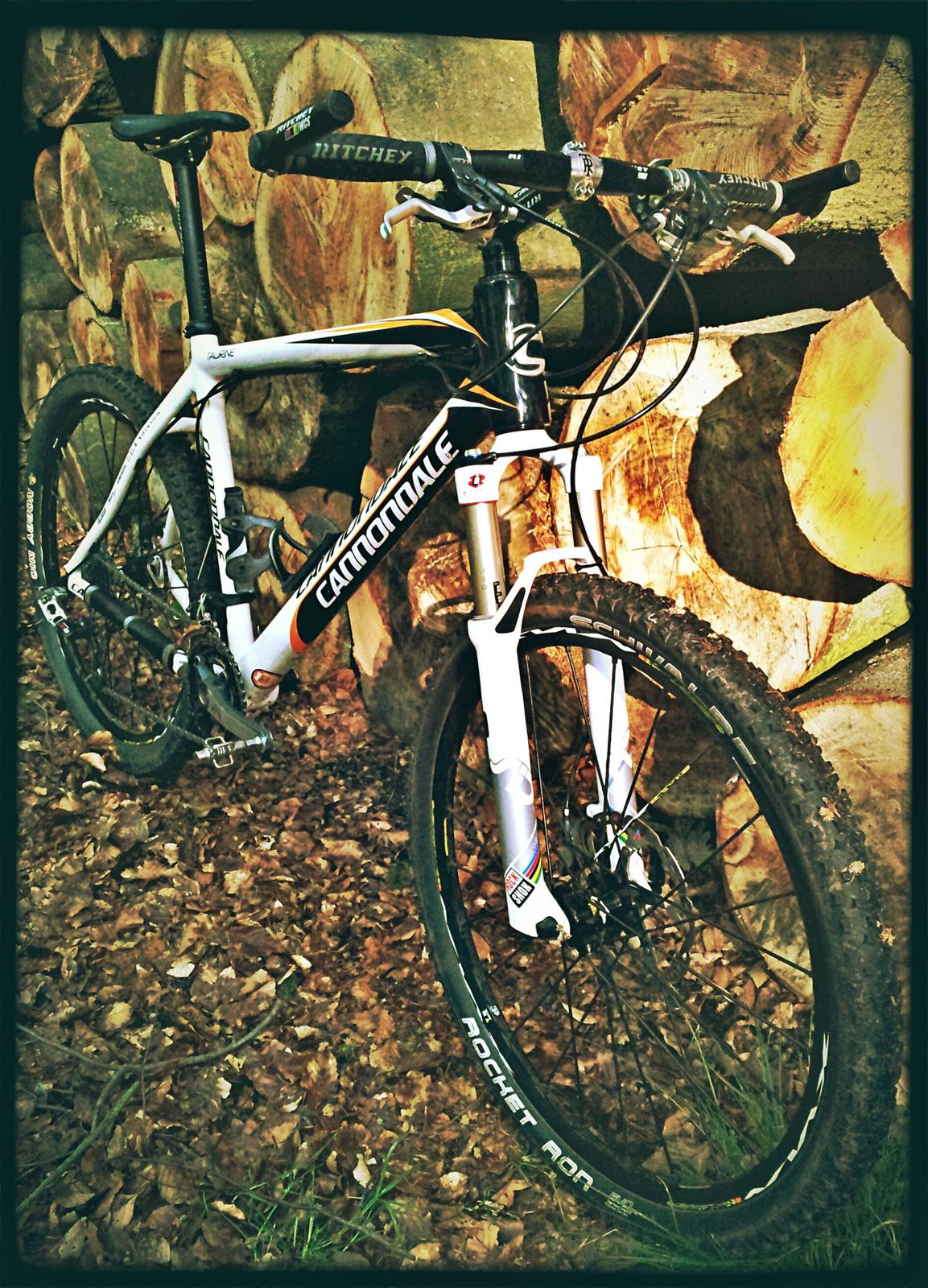 Cannondale Taurine SL Team Replica 2009 billede 1