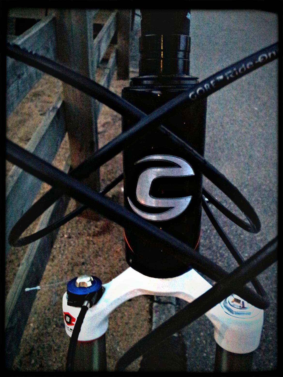 Cannondale Taurine SL Team Replica 2009 billede 2