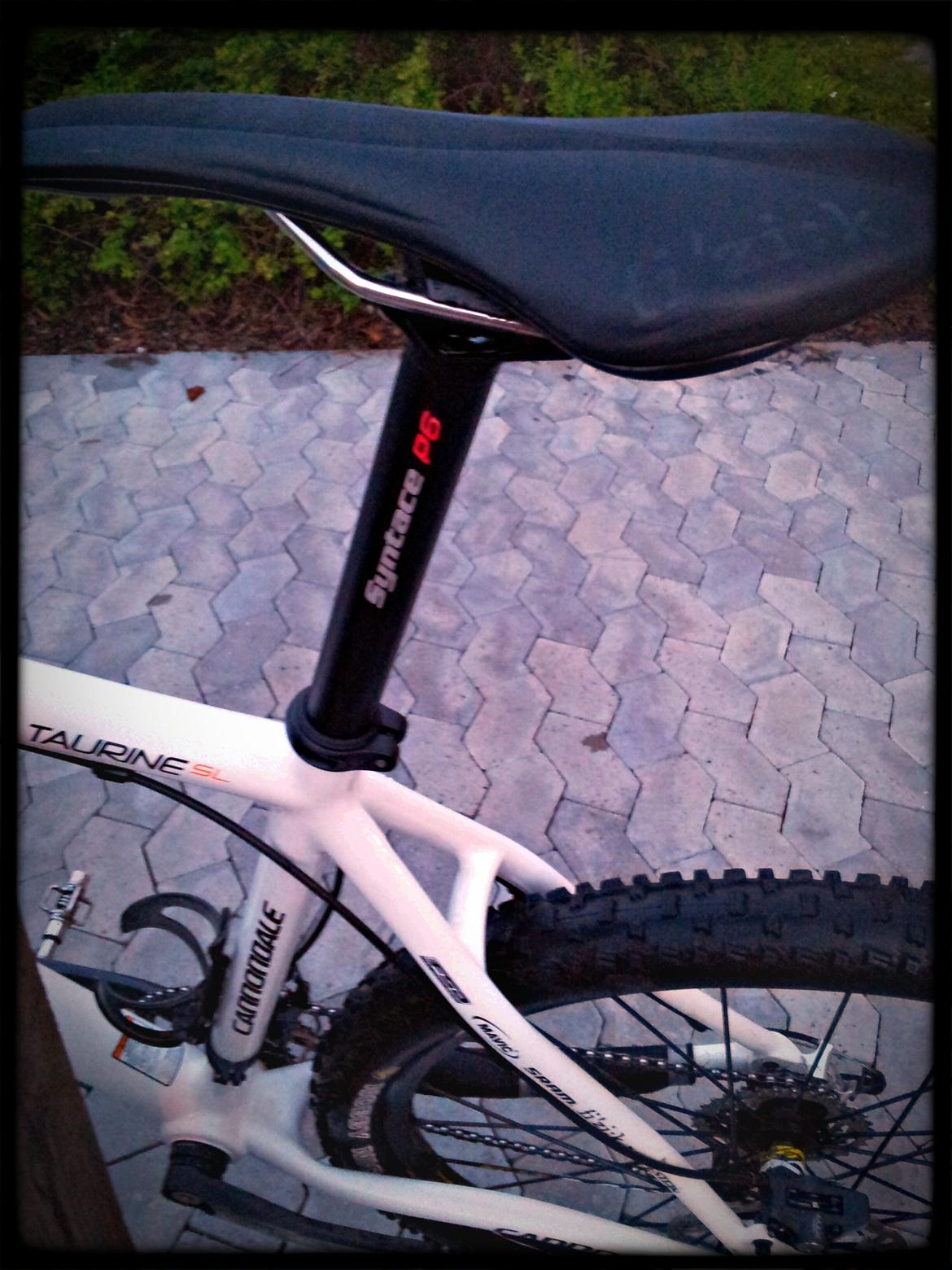 Cannondale Taurine SL Team Replica 2009 billede 13