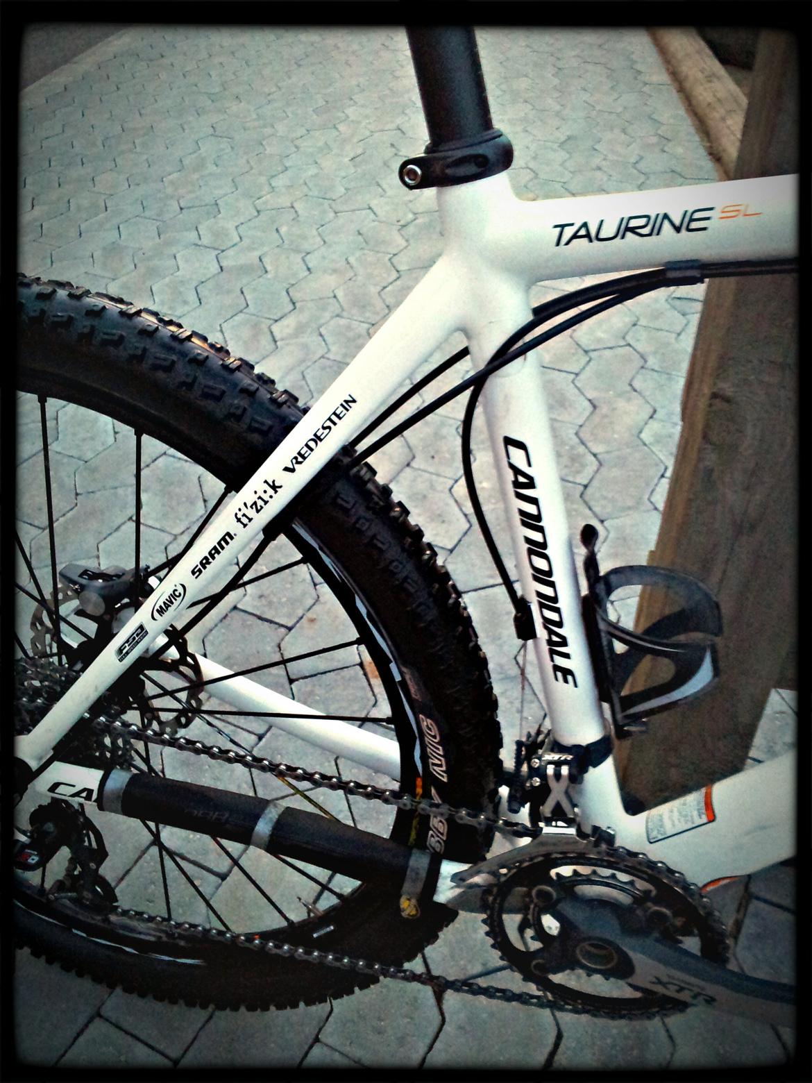 Cannondale Taurine SL Team Replica 2009 billede 14