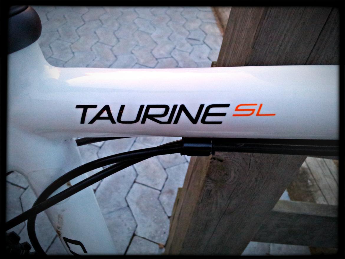 Cannondale Taurine SL Team Replica 2009 billede 12