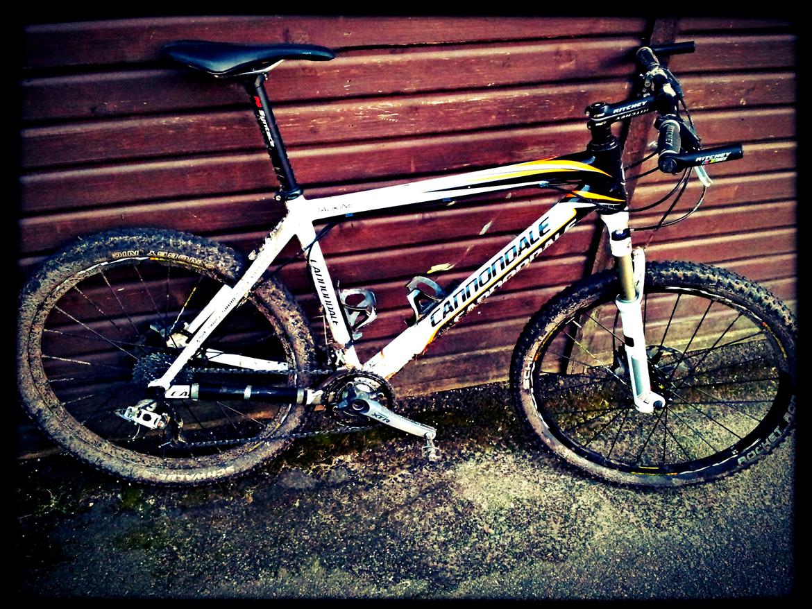 Cannondale Taurine SL Team Replica 2009 billede 18