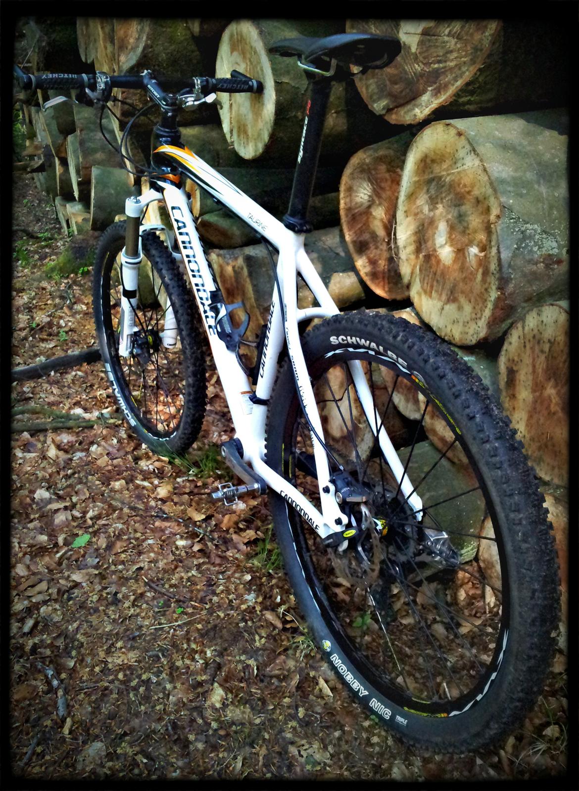 Cannondale Taurine SL Team Replica 2009 billede 19