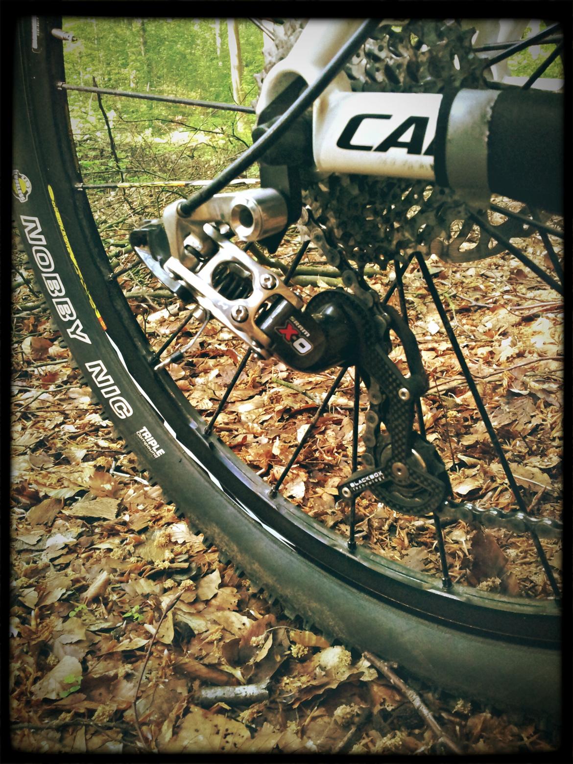 Cannondale Taurine SL Team Replica 2009 billede 17