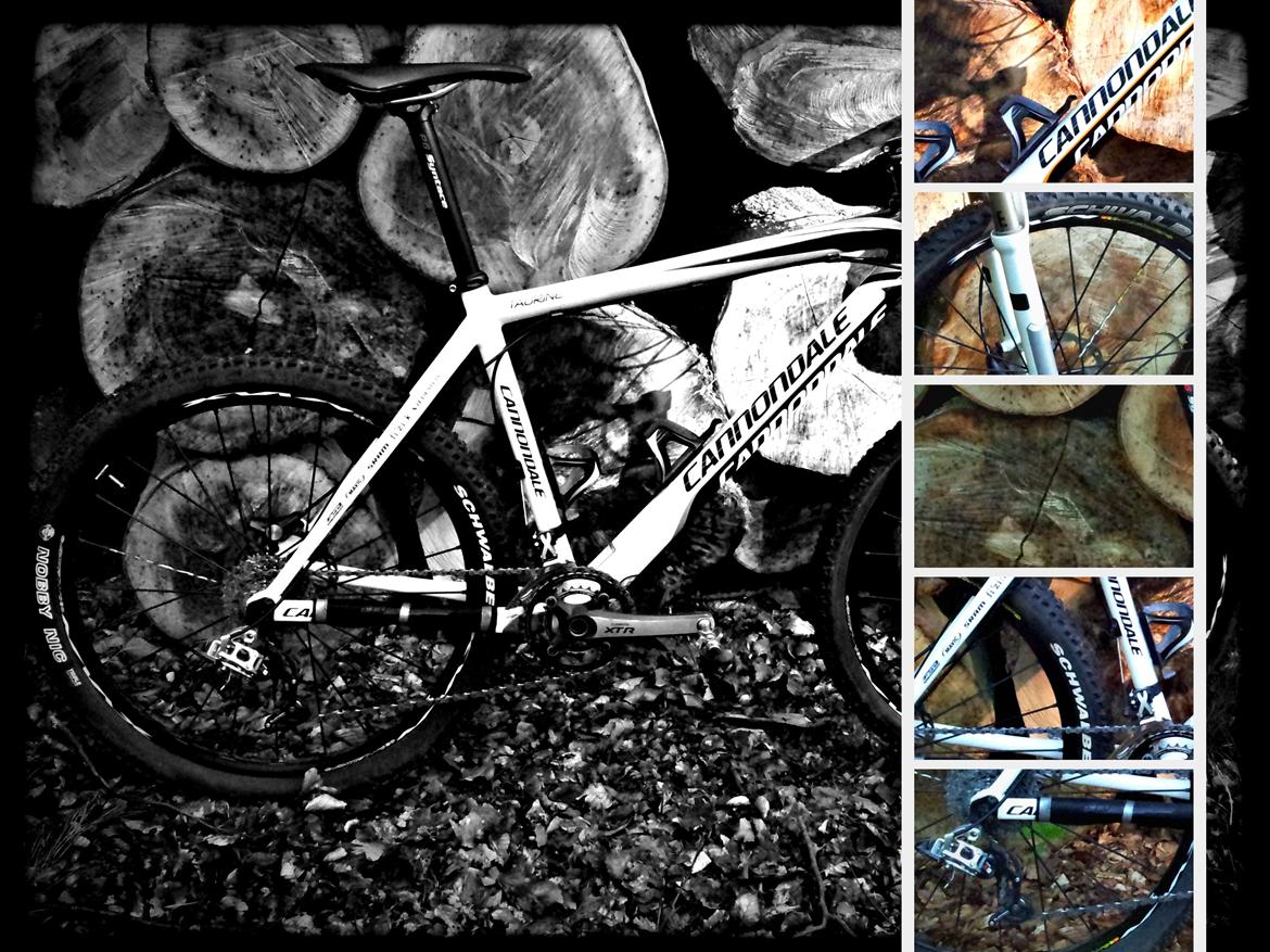 Cannondale Taurine SL Team Replica 2009 billede 20