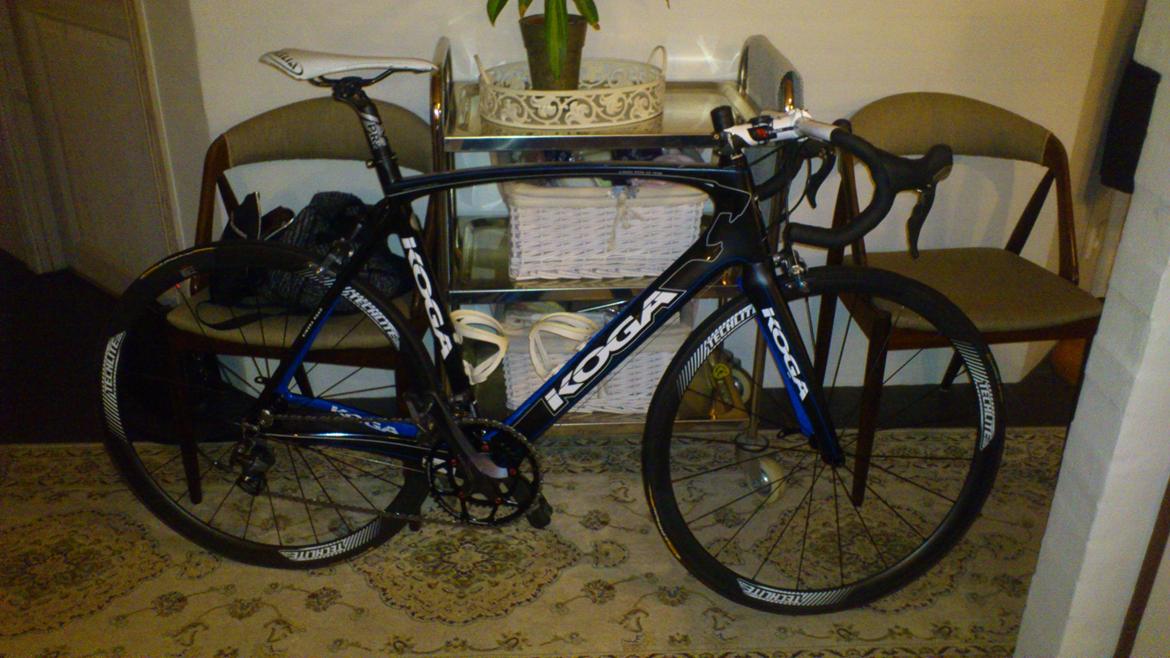 Koga Miyata kimera ud team 2013 billede 10