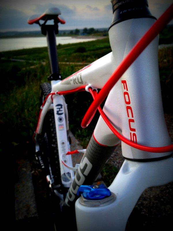 Focus Black Forest Limited 1.0 SOLGT billede 2