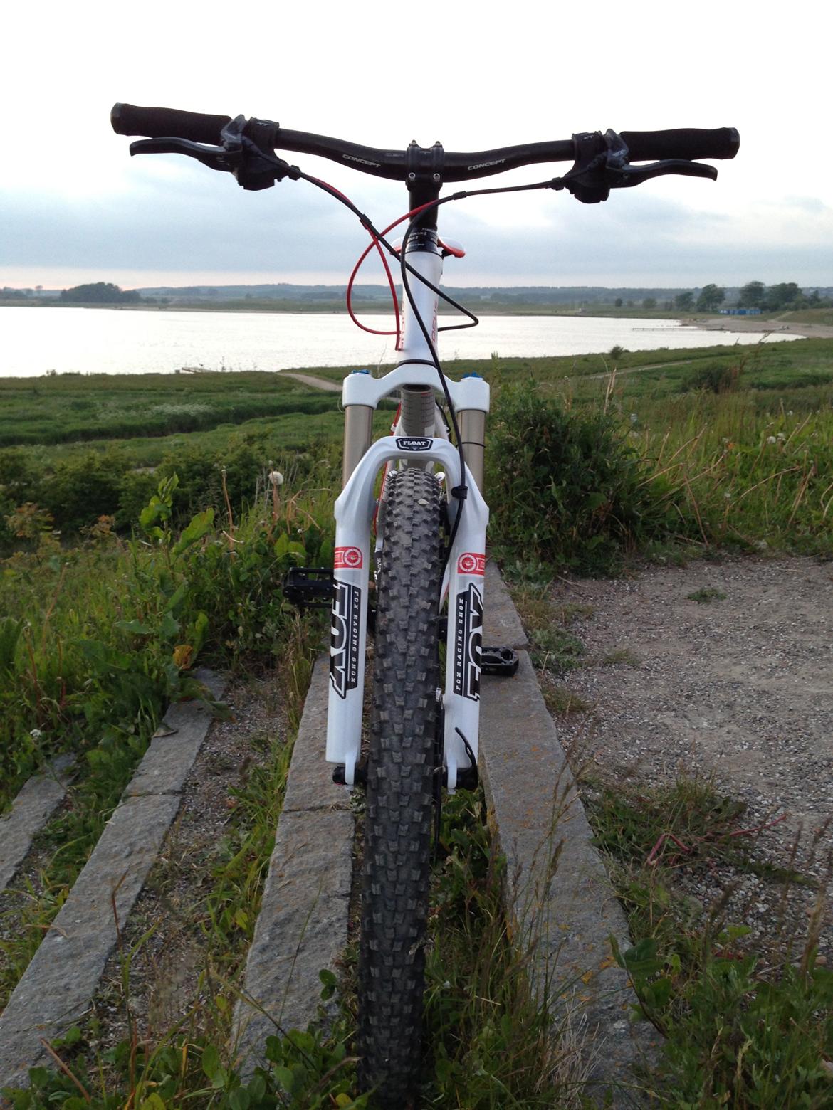 Focus Black Forest Limited 1.0 SOLGT billede 6