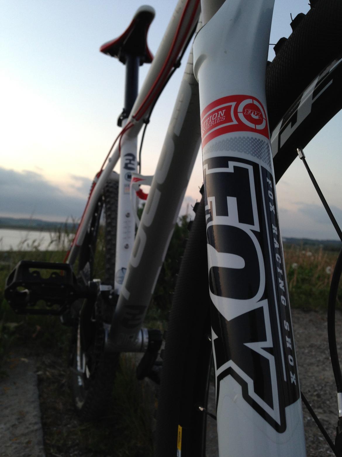 Focus Black Forest Limited 1.0 SOLGT billede 8