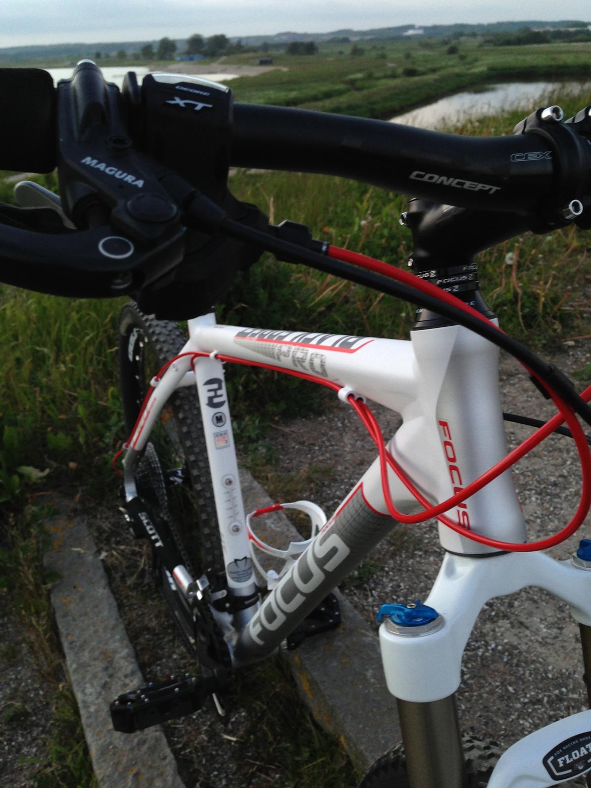 Focus Black Forest Limited 1.0 SOLGT billede 9