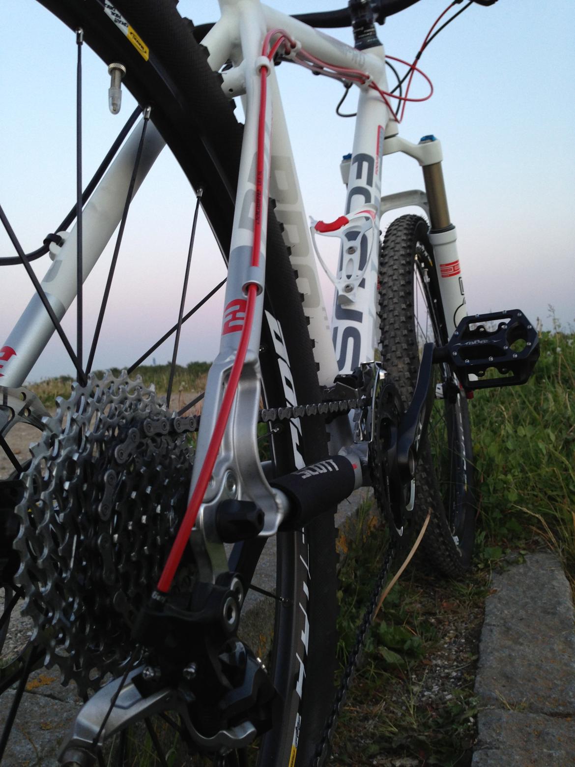 Focus Black Forest Limited 1.0 SOLGT billede 10