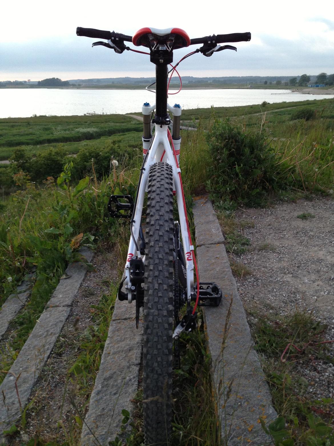 Focus Black Forest Limited 1.0 SOLGT billede 11