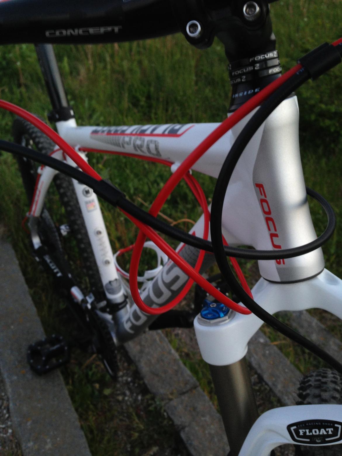 Focus Black Forest Limited 1.0 SOLGT billede 14