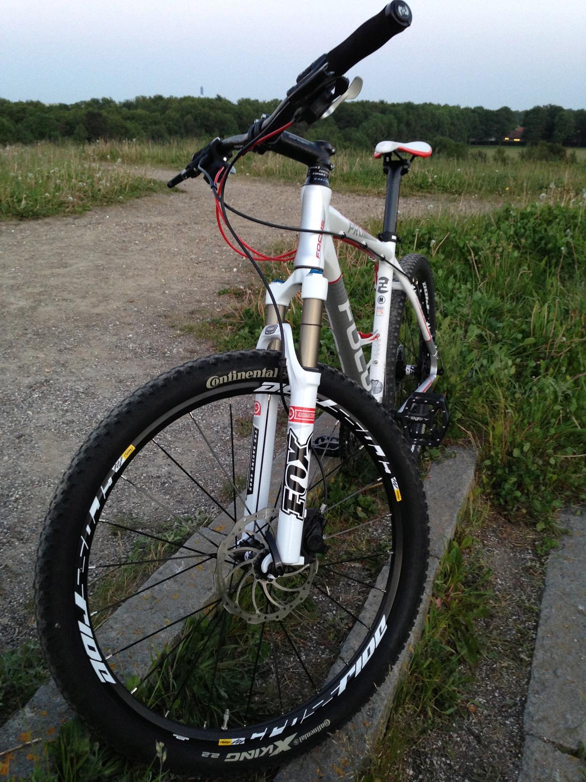 Focus Black Forest Limited 1.0 SOLGT billede 15