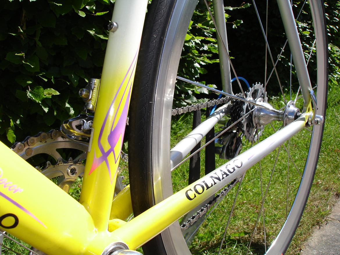 Colnago Titanio team casino. billede 6