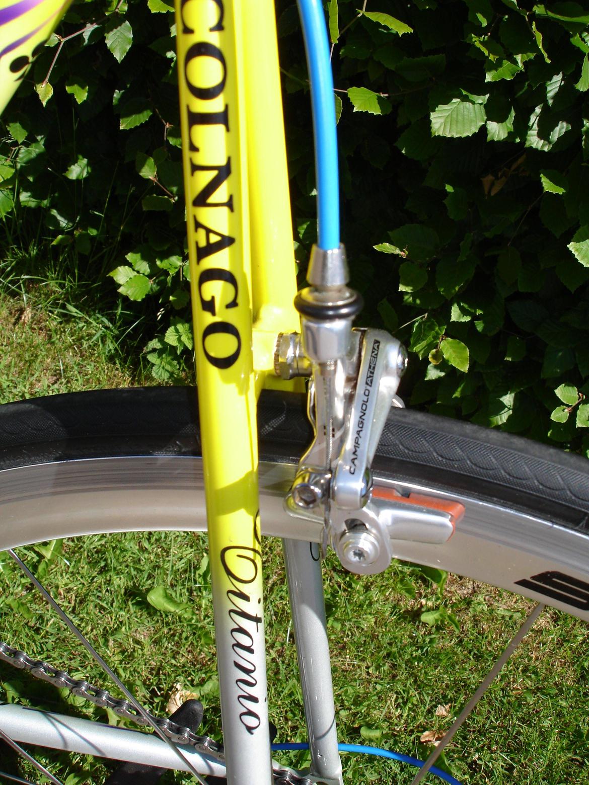 Colnago Titanio team casino. billede 11