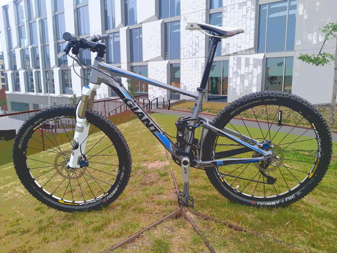 Giant Anthem X 5.0 billede 1