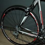 Wilier Evasion