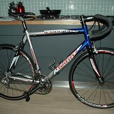 Wilier Evasion