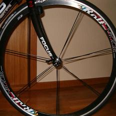 Focus Variado