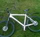 Felt Q800 XT